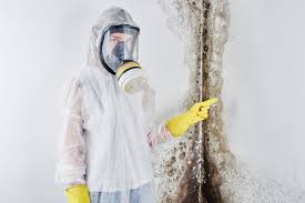 Best Mold Removal for HVAC Installations in Akron, NY